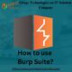 What is Burp Suite