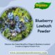Discover Blueberry Lowbush Powder at Organic Powder Pure!