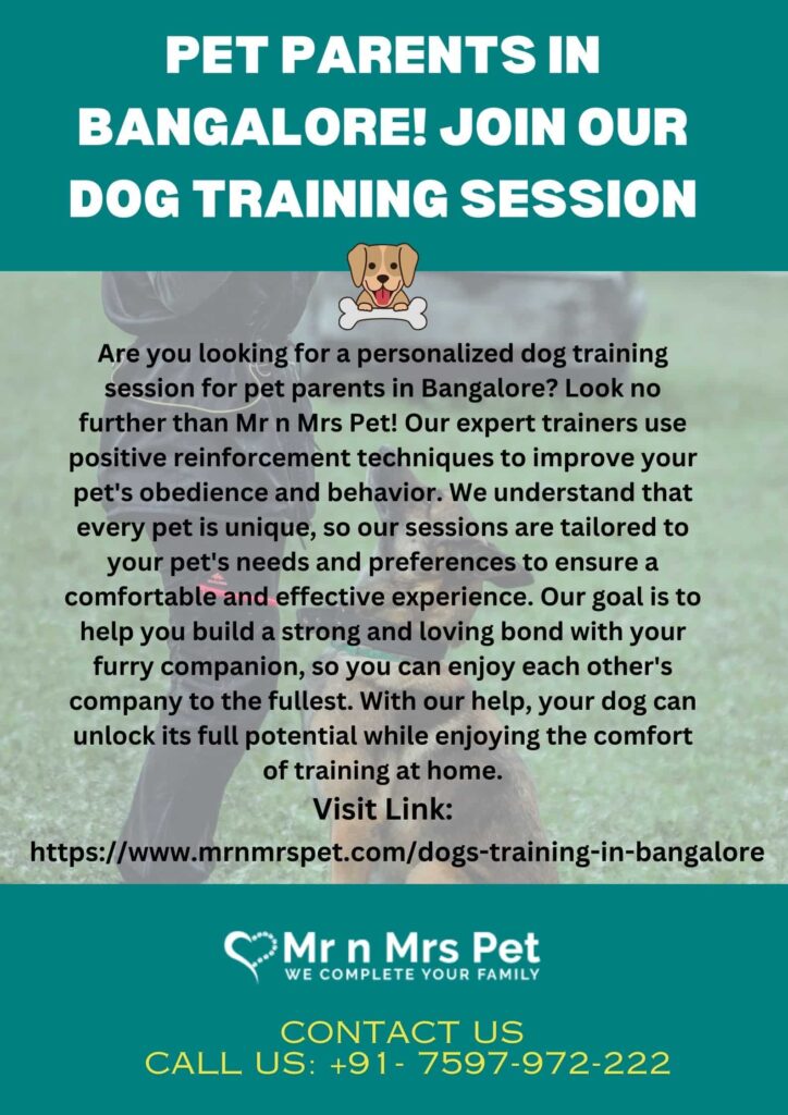 pet parents in bangalore join our dog training session 82b1036a