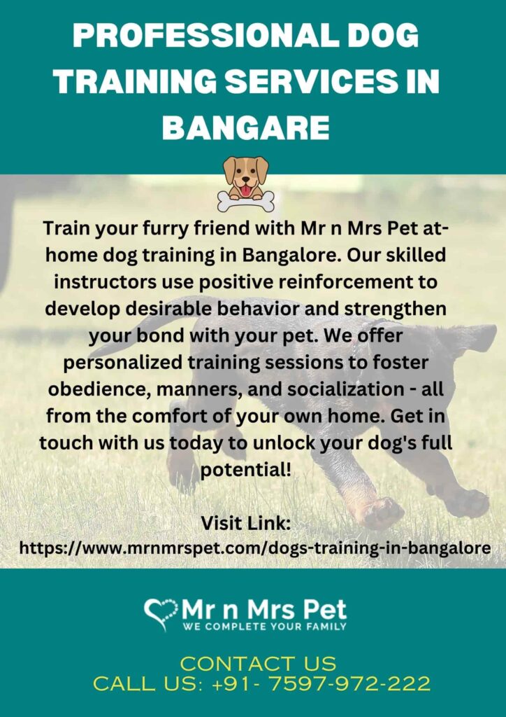 professional dog training services in bangalore d44aedb3