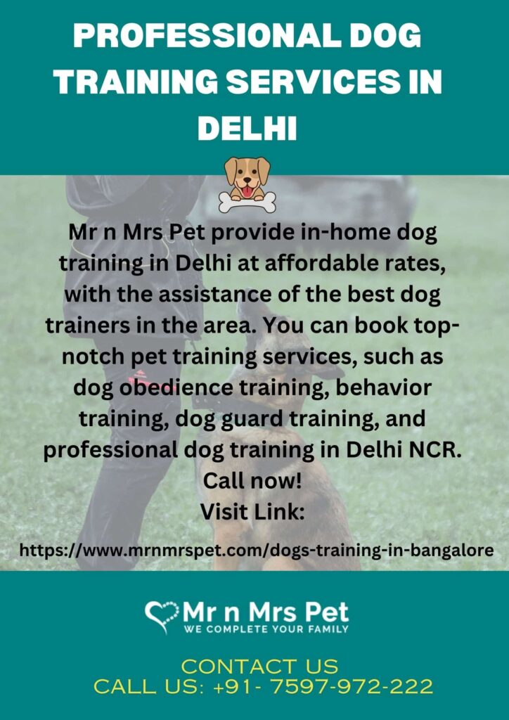 professional dog training services in delhi 6004de70