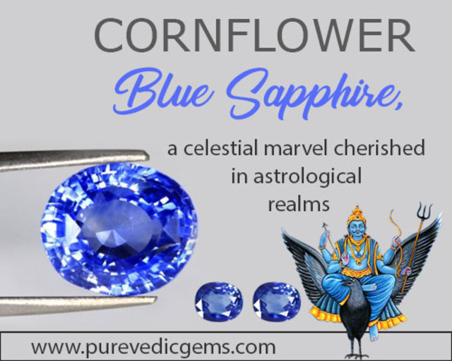 cornflower blue sapphire2024 copy 1 33edab13