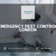 Emergency Pest Control London London: Pest Control 24 London's Expert Solutions for a Pest-Free Home