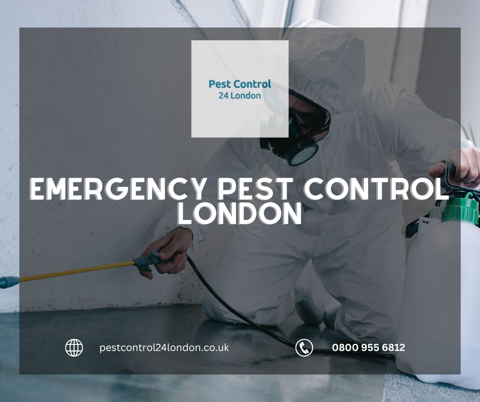 emergency pest control london 03398ee9