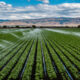 Advancing Agriculture with Irrigation Consulting Services