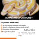 Mamlambo Spiritual Snake Money - Simple Money Spells That Work in South Africa📞+27788804343