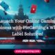 Launch Your Online Gaming Business with PieGaming's White Label Solution!