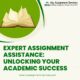Achieve Academic Excellence with My Assignment Services!