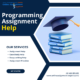 Expert Programming Assignment Help from Online Assignment Expert