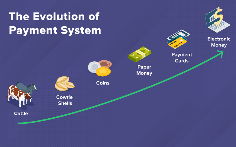 evolution of money over the time optimized f1e5f8ad