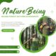 Experience the Healing Power of Nature with Forest Bathing Walks
