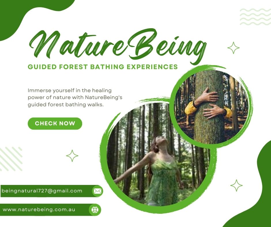 guided forest bathing experiences 81aa2c3d