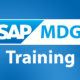 Get 30% off on SAP MDG Training by HKR Training.