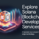 Shamla Tech: Your Gateway to Solana Blockchain Success