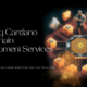 ShamlaTech Solutions: Empowering Growth through Cardano
