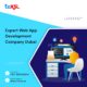 Customized Web App Development Services in Dubai | ToXSL Technologies