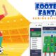 Custom Fantasy Football App Development Company