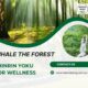 Inhale the Forest: Shinrin Yoku for Wellness