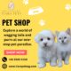 Pet shop Singapore