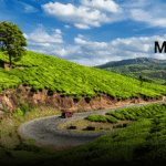 Munnar in May Explore the Tea Gardens and Misty Hills