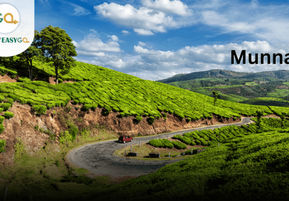 Munnar in May Explore the Tea Gardens and Misty Hills