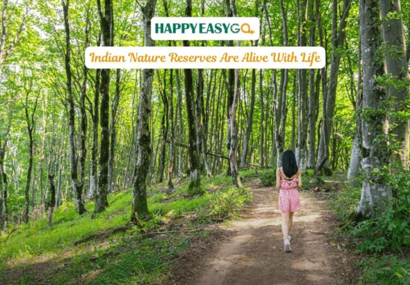 Indian Nature Reserves Are Alive With Life