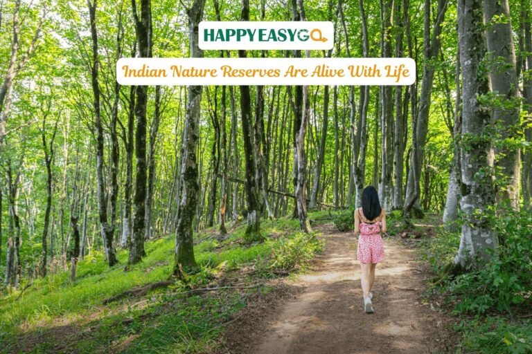Indian Nature Reserves Are Alive With Life