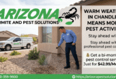 Pest Control Experts in Chandler, AZ | Fast & Affordable Pest Control