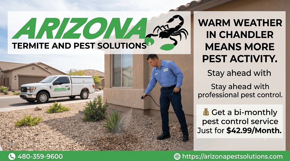 Pest Control Experts in Chandler, AZ | Fast & Affordable Pest Control