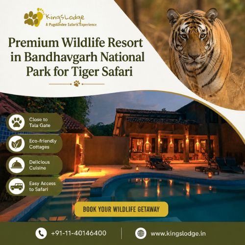 Premium Wildlife Resort in Bandhavgarh National Park for Tiger Safari
