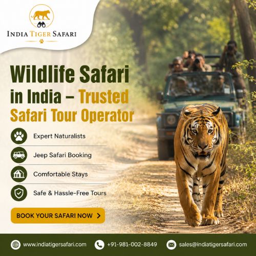 Wildlife Safari in India – Trusted Safari Tour Operator
