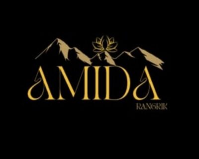 AMIDA-logo-500-x-500