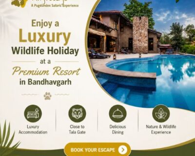 Enjoy-a-Luxury-Wildlife-Holiday-at-a-Premium-Resort-in-Bandhavgarh