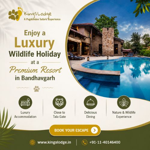 Enjoy a Luxury Wildlife Holiday at a Premium Resort in Bandhavgarh