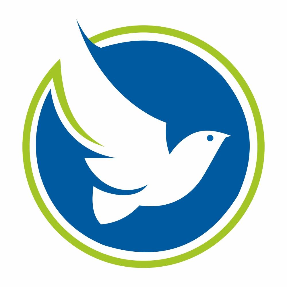 Best Solar Panel Manufacturer in India – Bluebird Solar