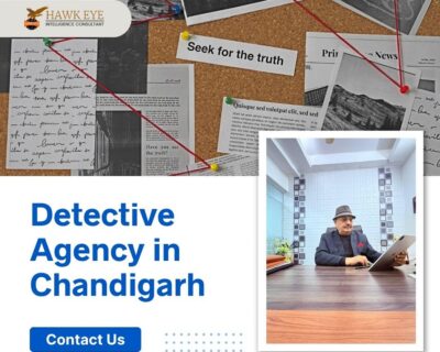 Leading-Detective-Agency_Chandigarh