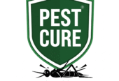 Pest Control Services in Delhi NCR | Pestcure