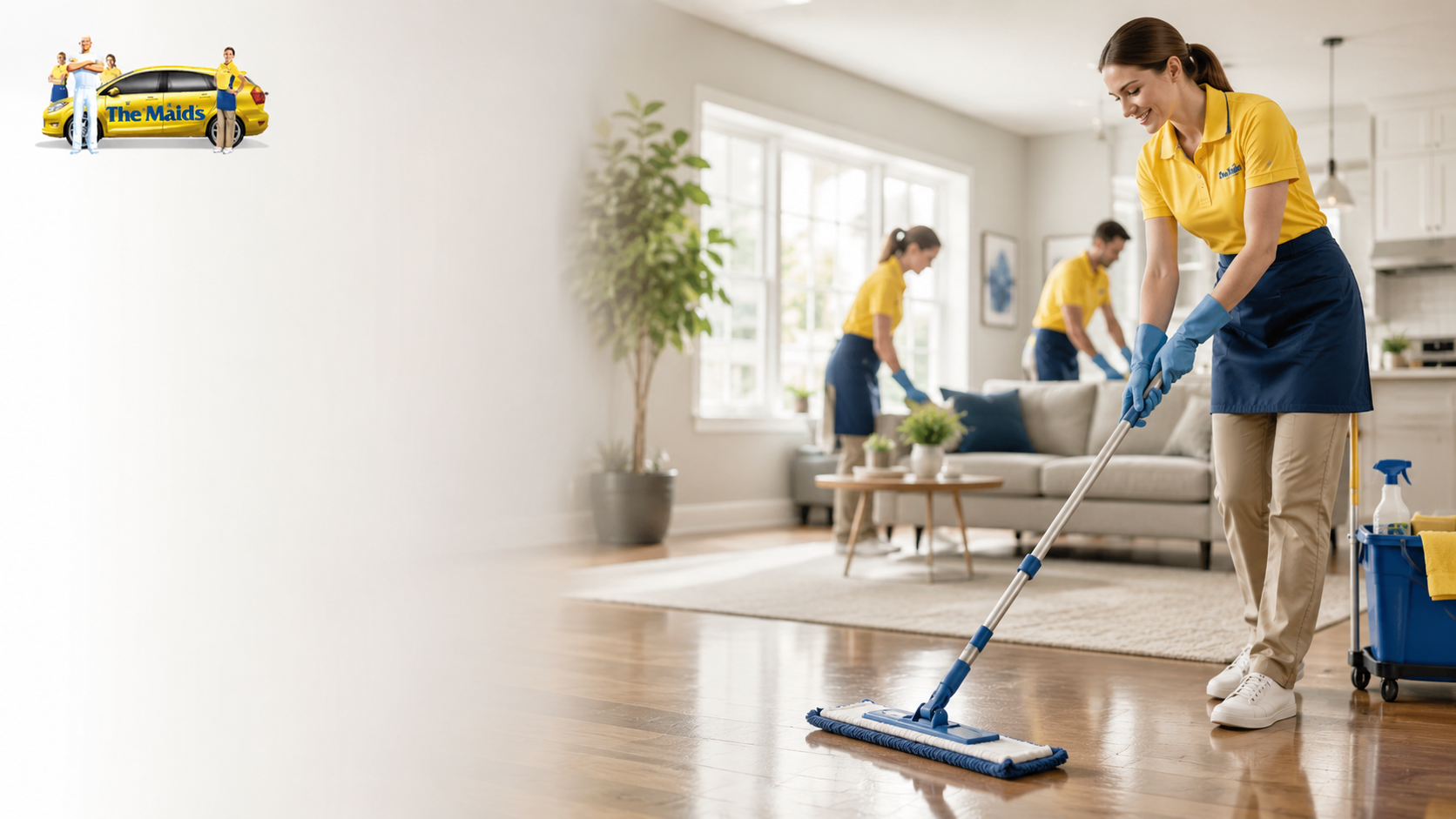 Professional Cleaning Company Brookline MA