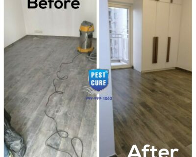 pest-core-deep-cleaning