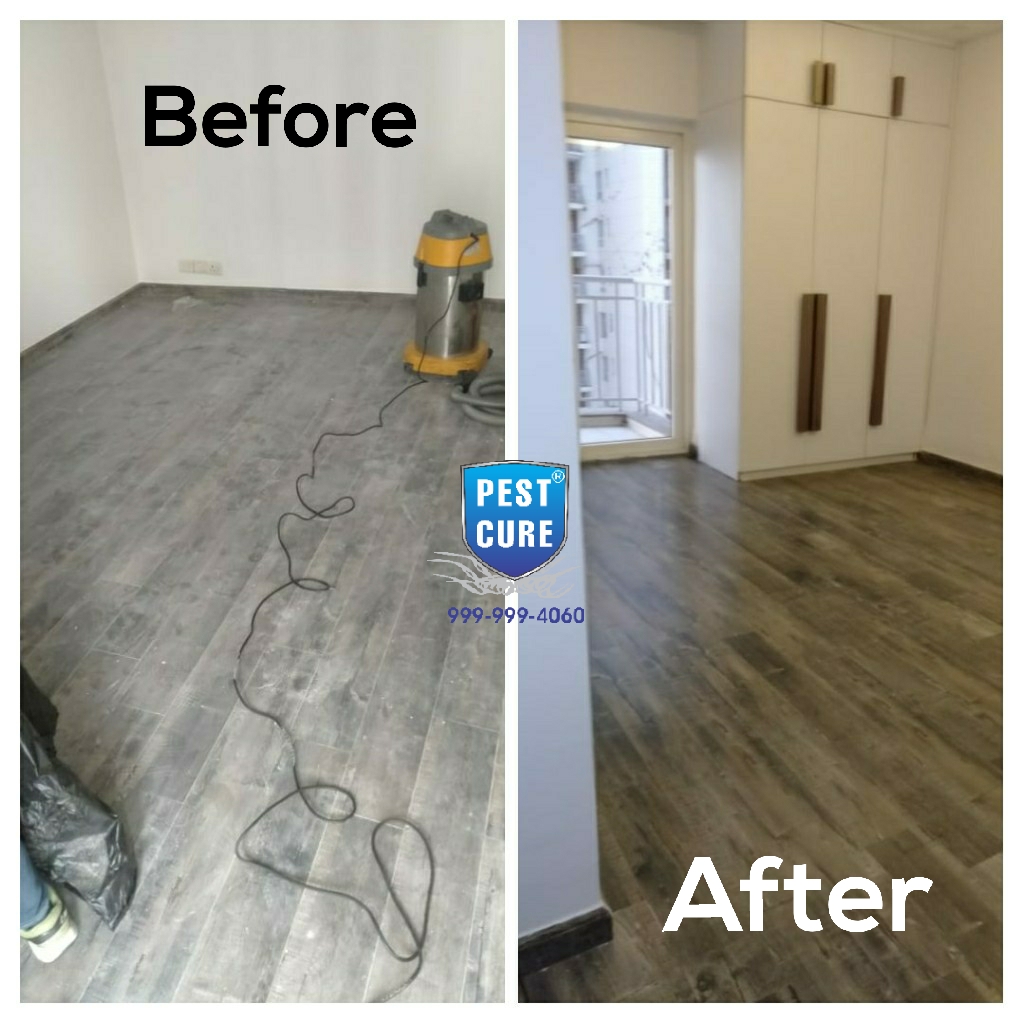 Pest Control Services in Delhi NCR | Pestcure