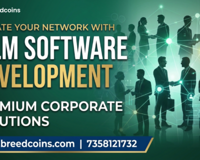 MLM-Software-Development-2