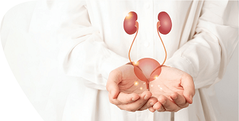 Nephrology_b018d16754