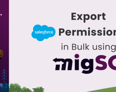 Salesforce-Export-Permission-Sets-1536×648-1