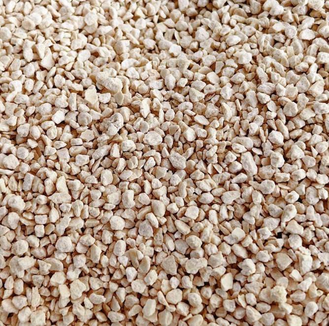 Cat Litter Supplies for a Cleaner, Fresher Home