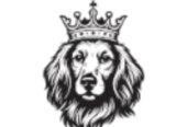 Tudor Energy LLC