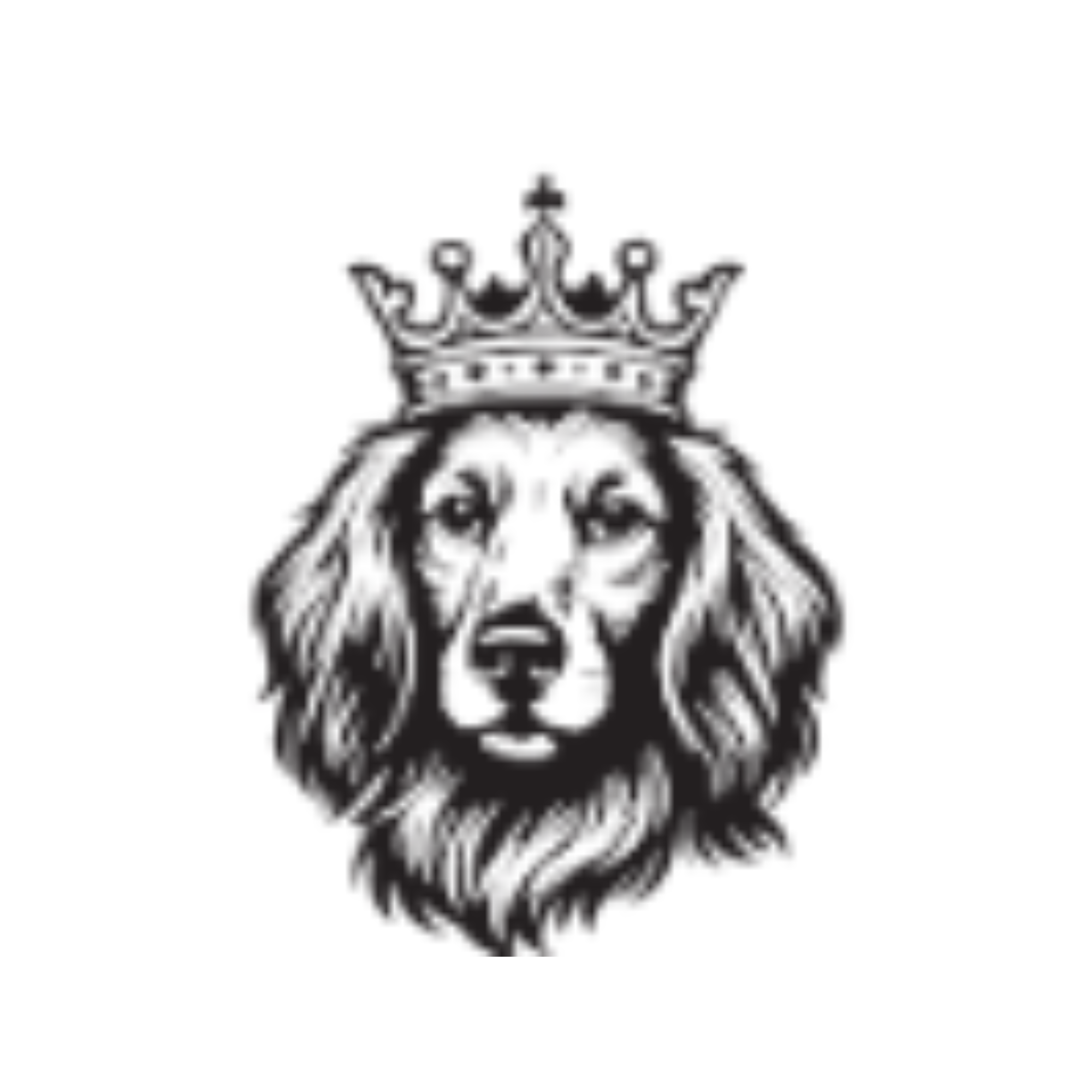Tudor Energy LLC