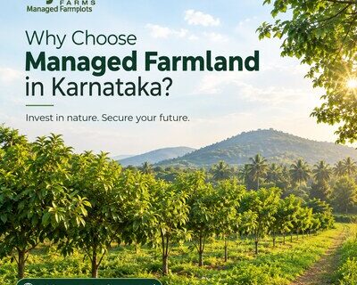 Why-Choose-Managed-Farmland-in-Karnataka