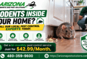 Trusted Pest Control Services in Arizona – AZ Pest Solutions