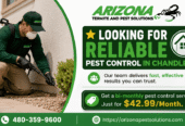 Trusted Pest Control Services in Arizona – AZ Pest Solutions