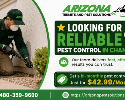 chandler-pest-control